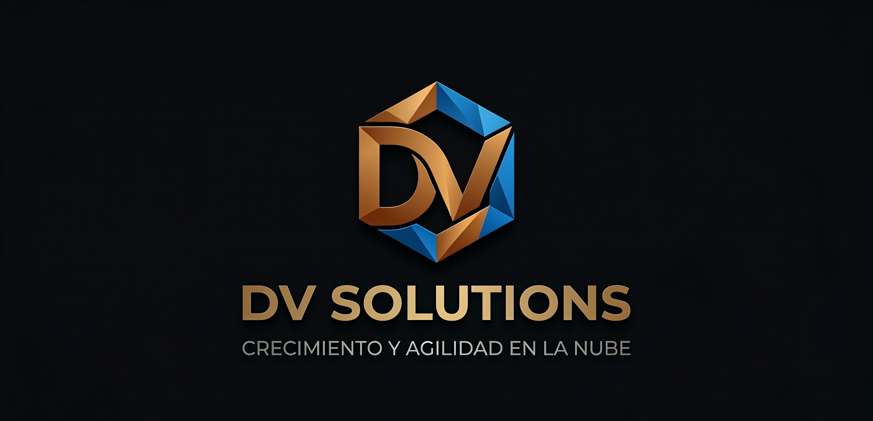 DV Solutions