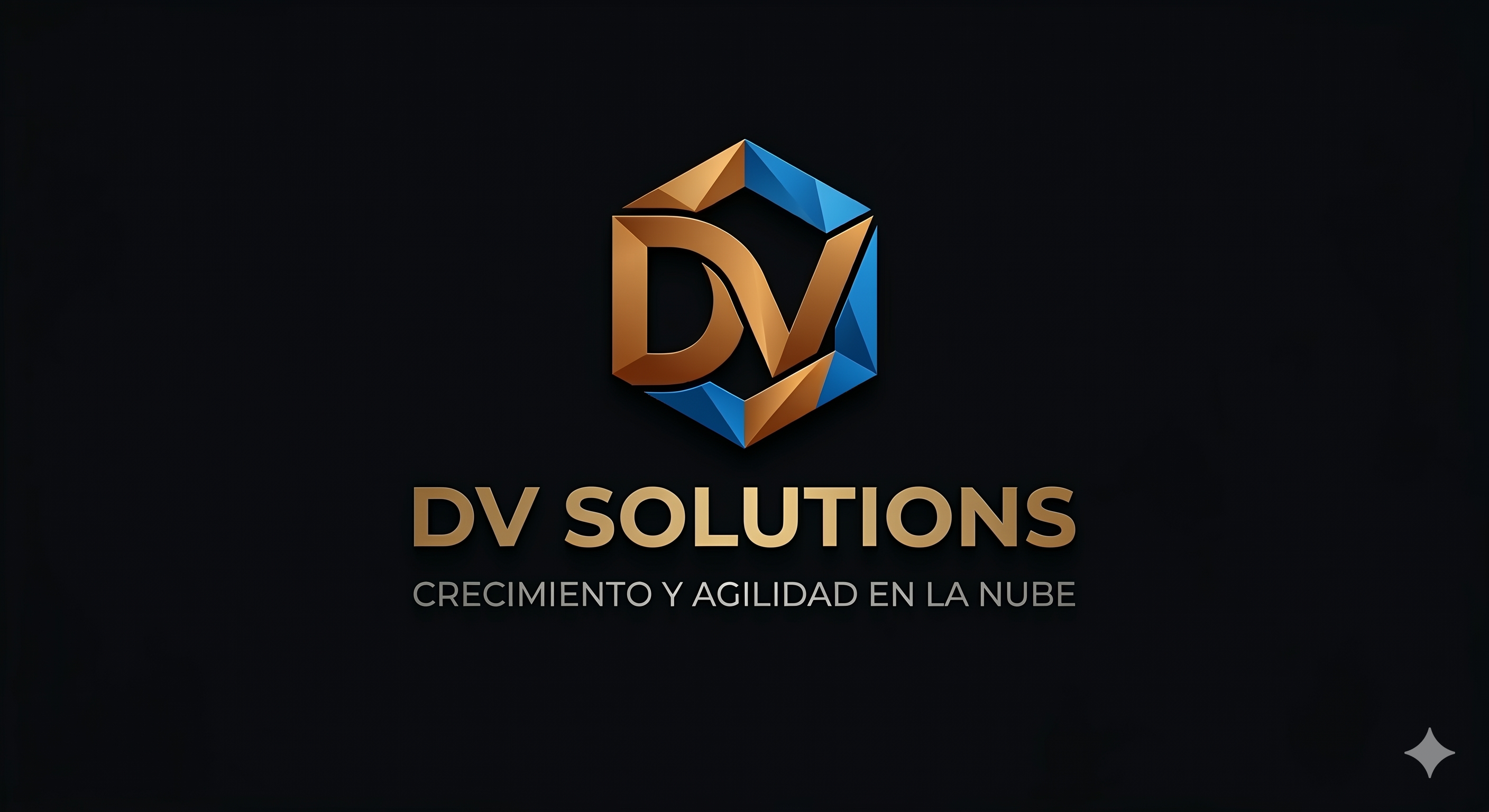 DV Solutions